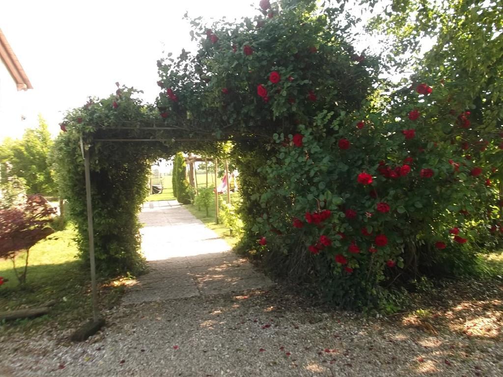 Agriturismo La Prateria Gazzo  المظهر الخارجي الصورة