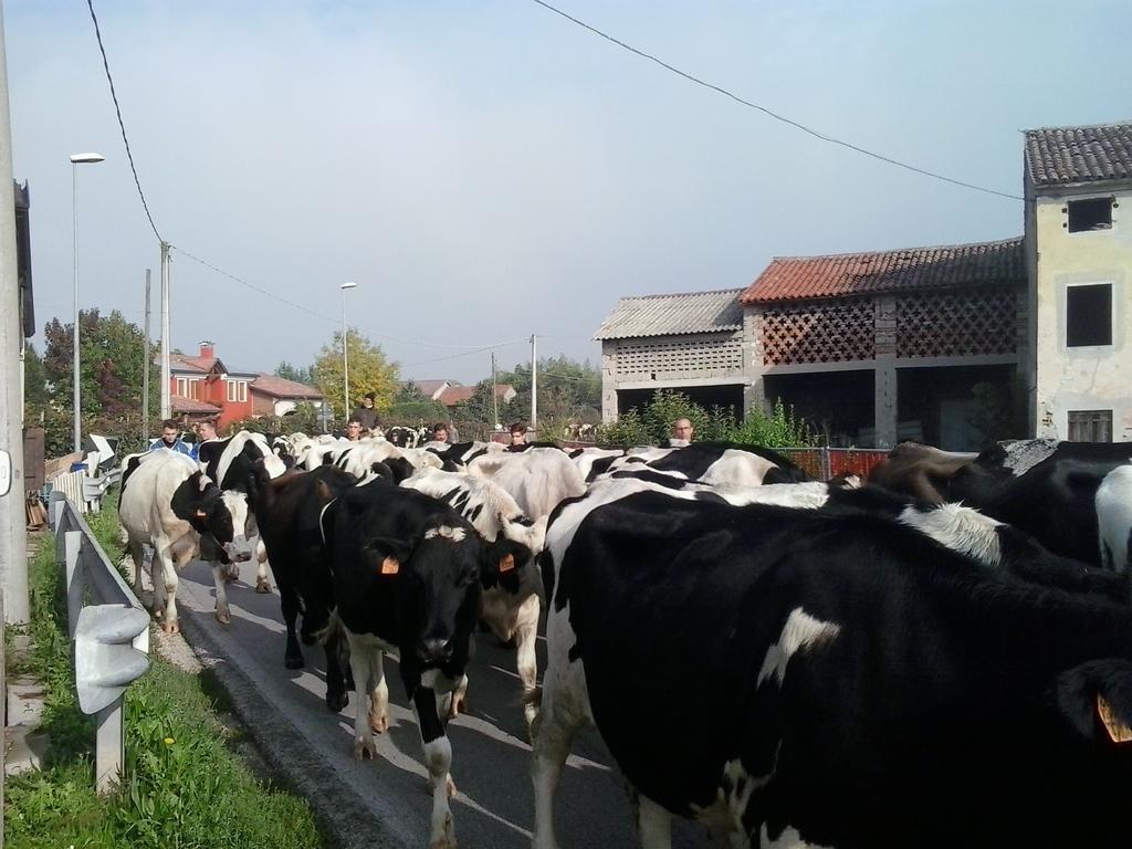 Agriturismo La Prateria Gazzo  المظهر الخارجي الصورة